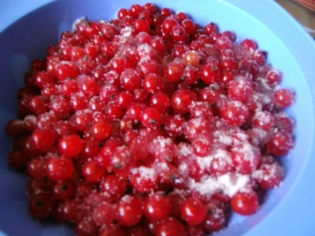 Johannisbeer-Muffin - Rezept - Bild Nr. 7