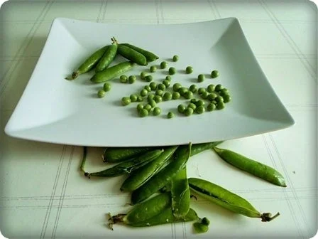 Hähnchen-Frikassee mit Reis - Rezept - Bild Nr. 15