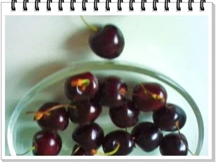 Rezept: Crêpes mit Kirschen und Banane Bild Nr. 4 Crêpes mit Kirschen und Banane - Rezept - Bild Nr. 4