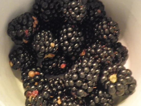 Brombeer - Joghurt - Mousse - Rezept - Bild Nr. 4