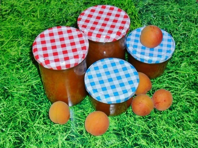 Aprikosen - Chutney - Rezept