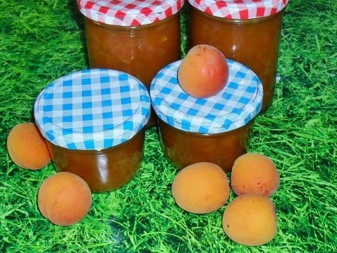 Aprikosen - Chutney - Rezept - Bild Nr. 3