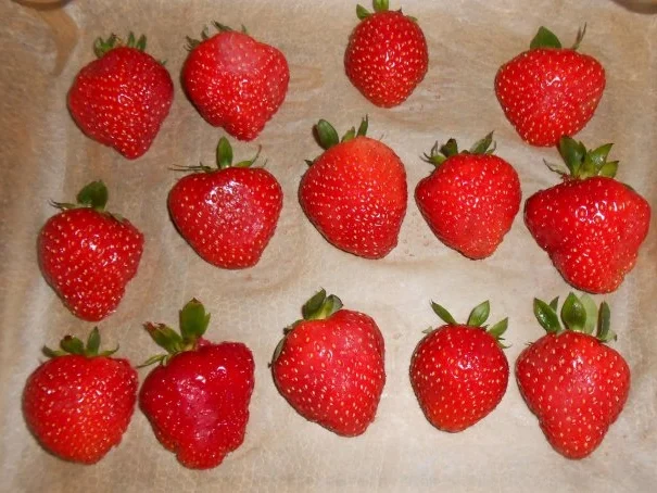 Rezept: Schokoladen-Nuss-Kuchen mit Erdbeeren Bild Nr. 15 Schokoladen-Nuss-Kuchen mit Erdbeeren - Rezept - Bild Nr. 15