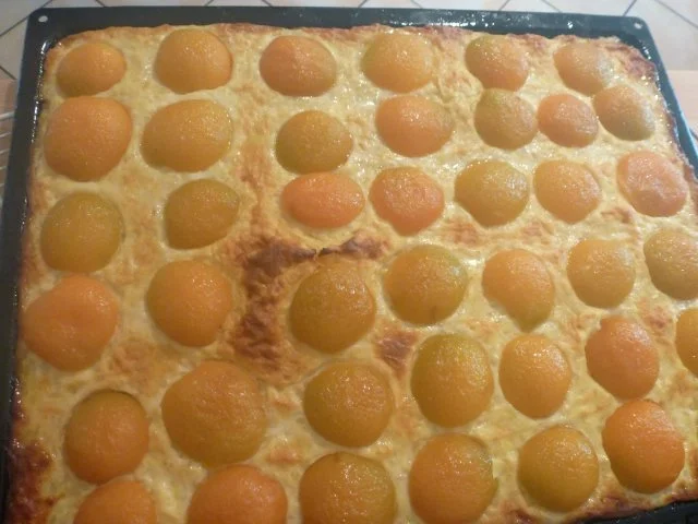 Milchreiskuchen- Ein Geburtstagskuchen - Rezept - Bild Nr. 12