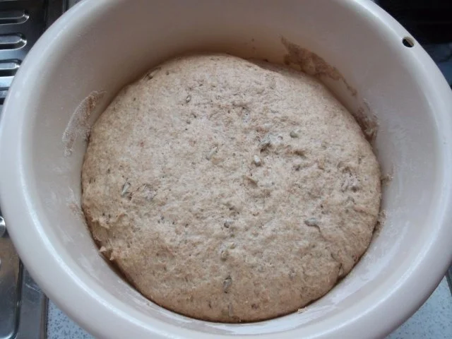 Rezept: Sonnenblumenbrot Bild Nr. 10 Sonnenblumenbrot - Rezept - Bild Nr. 10