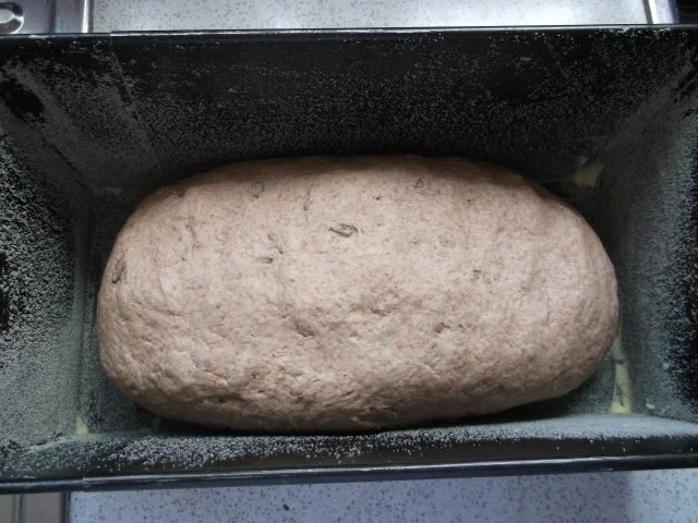 Rezept: Sonnenblumenbrot Bild Nr. 11 Sonnenblumenbrot - Rezept - Bild Nr. 11
