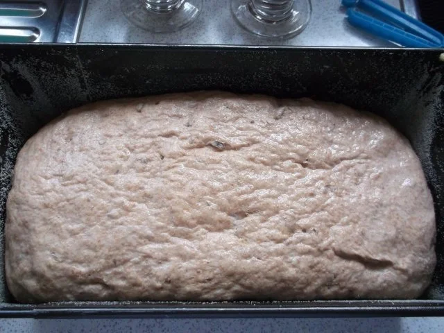 Rezept: Sonnenblumenbrot Bild Nr. 12 Sonnenblumenbrot - Rezept - Bild Nr. 12