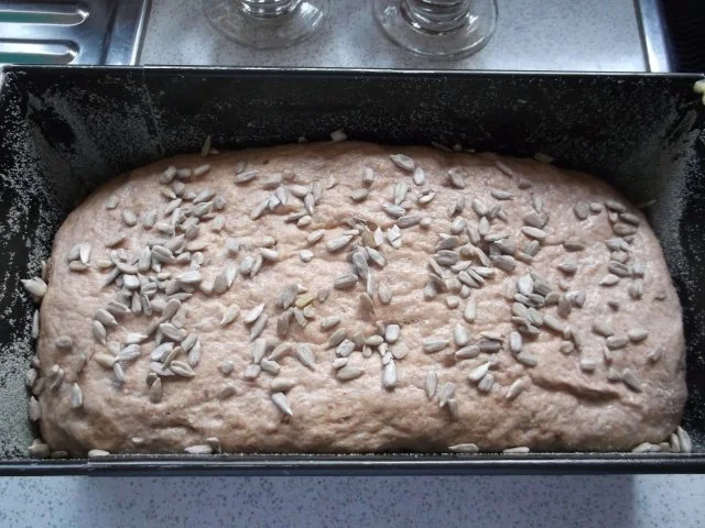 Rezept: Sonnenblumenbrot Bild Nr. 13 Sonnenblumenbrot - Rezept - Bild Nr. 13