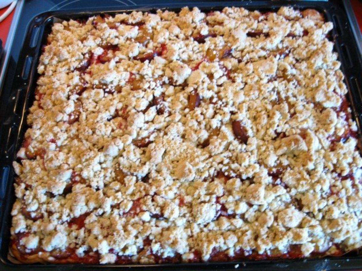 Bilder für Pflaumenkuchen mit Pudding und Streusel - Rezept