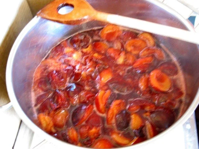 Pflaumen Kompott - Rezept - Bild Nr. 4