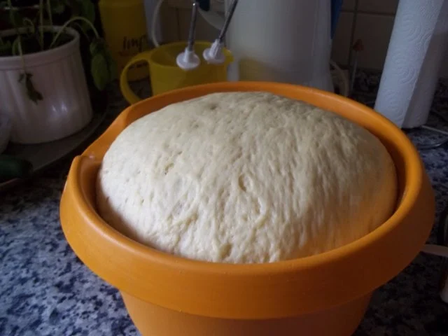 Rezept: Johannisbeer-Streusel-Kuchen vom Blech Bild Nr. 5 Johannisbeer-Streusel-Kuchen vom Blech - Rezept - Bild Nr. 5