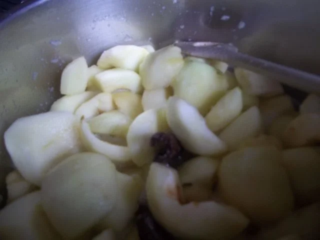 Apfelmus - Rezept - Bild Nr. 3