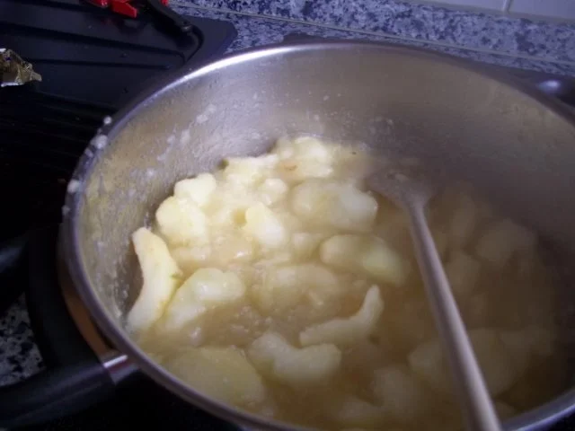 Apfelmus - Rezept - Bild Nr. 4