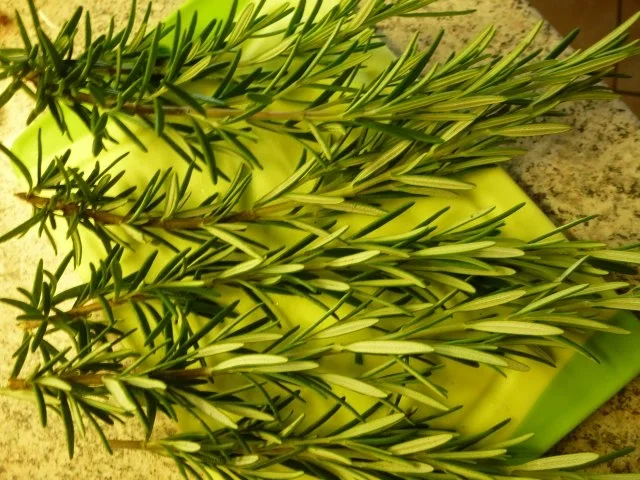 Rosmarin-Rumpsteaks NT gegart mit Ruccola-Möhrensalat - Rezept - Bild Nr. 4