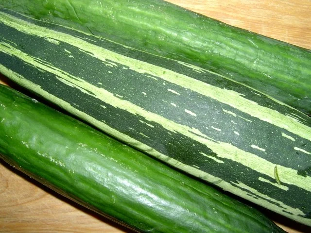 Gurken-Zucchini Nachtisch mit Johannisbeeren - Rezept - Bild Nr. 2