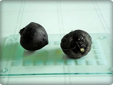 Rezept: Rote Bete Salat nach Art des Hauses Bild Nr. 3 Rote Bete Salat nach Art des Hauses - Rezept - Bild Nr. 3