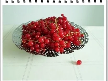 Erfrischend &  vitaminreich Johannisbeeren Shake  zum auslöffeln - Rezept - Bild Nr. 2