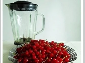 Erfrischend &  vitaminreich Johannisbeeren Shake  zum auslöffeln - Rezept - Bild Nr. 4