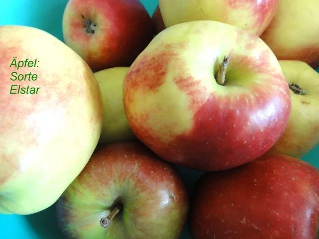 Rezept: Mürbeteig: APFELTORTE -gedeckt- Bild Nr. 2 Mürbeteig: APFELTORTE -gedeckt- - Rezept - Bild Nr. 2