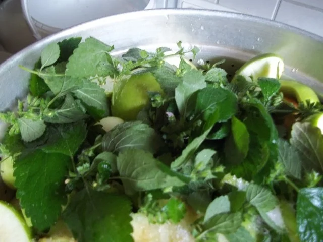 Apfelsaft mit Zitronennote - Rezept - Bild Nr. 3