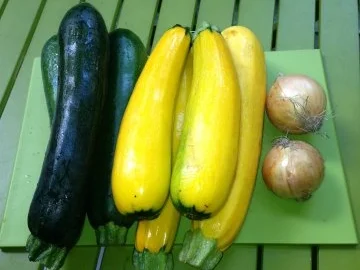 Zucchini-Dill-Kerbel Suppe - Rezept - Bild Nr. 2