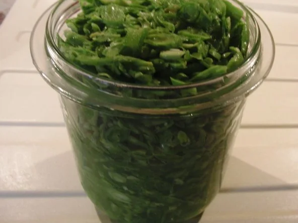 EINMACHEN: SALZBOHNEN IM GLAS - Rezept