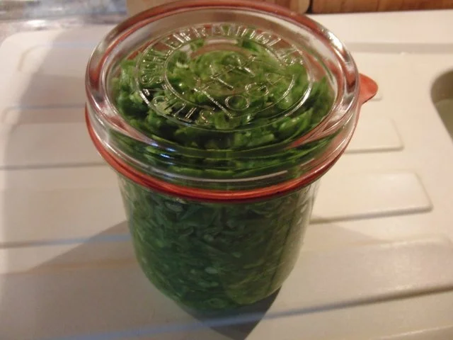 EINMACHEN: SALZBOHNEN IM GLAS - Rezept - Bild Nr. 2