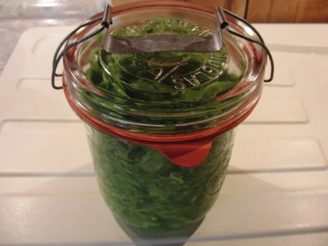 EINMACHEN: SALZBOHNEN IM GLAS - Rezept - Bild Nr. 3