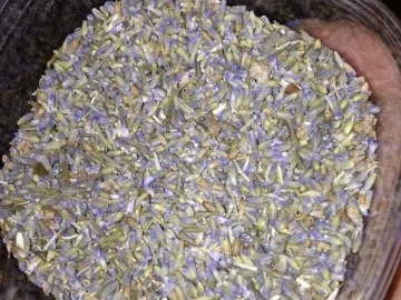 Rezept: Lavendel-Honig-Muffins Bild Nr. 2 Lavendel-Honig-Muffins - Rezept - Bild Nr. 2