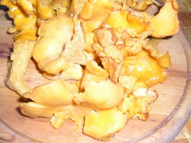 Schweinskarree mit bunten Bandnudeln und - Rezept - Bild Nr. 3