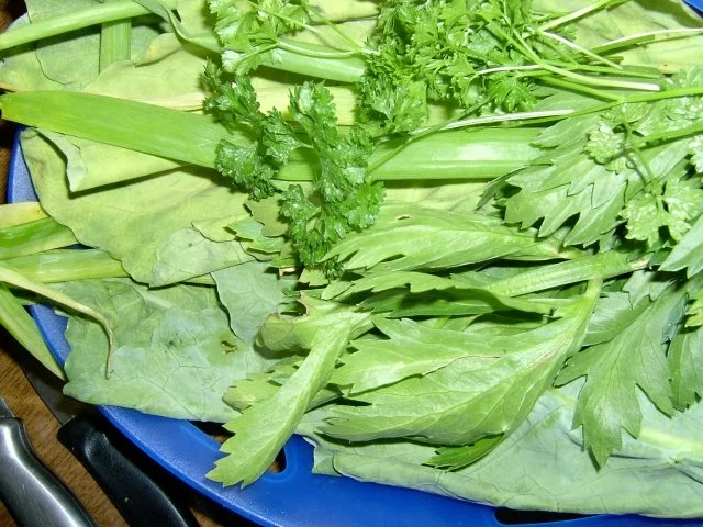 Gemischtes Stielmus - Rezept - Bild Nr. 2