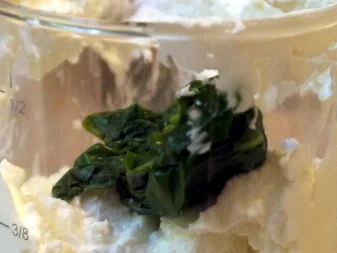 Rezept: Aprikosen-Kompott auf Basilikum-Creme Bild Nr. 3 Aprikosen-Kompott auf Basilikum-Creme - Rezept - Bild Nr. 3