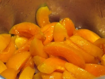 Rezept: Aprikosen-Kompott auf Basilikum-Creme Bild Nr. 8 Aprikosen-Kompott auf Basilikum-Creme - Rezept - Bild Nr. 8