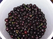 Rezept: Kirschgelee mit Vanille Kirschgelee mit Vanille - Rezept