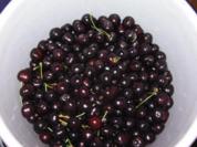 Kirschgelee mit Vanille - Rezept