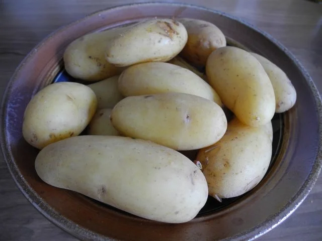 Rezept: Hackfleisch : Frikadellen auf jungen Bohnen an falscher Souce Hollandaise Bild Nr. 22 Hackfleisch : Frikadellen auf jungen Bohnen an falscher Souce Hollandaise - Rezept - Bild Nr. 22