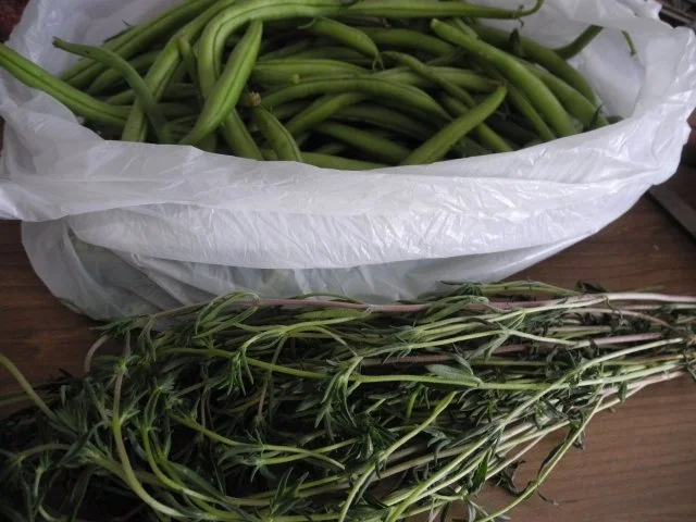 Rezept: Hackfleisch : Frikadellen auf jungen Bohnen an falscher Souce Hollandaise Bild Nr. 18 Hackfleisch : Frikadellen auf jungen Bohnen an falscher Souce Hollandaise - Rezept - Bild Nr. 18