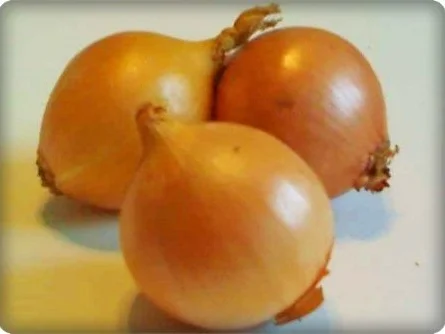 Zwiebelsuppe mit  Einlage - Rezept - Bild Nr. 4