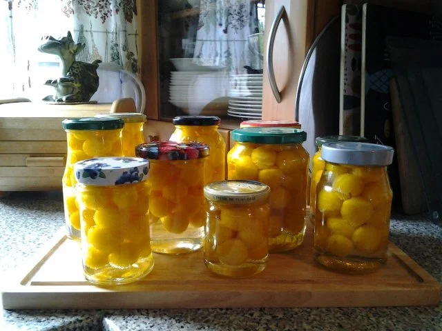 Mirabellen im Glas nach Omas Art - Rezept