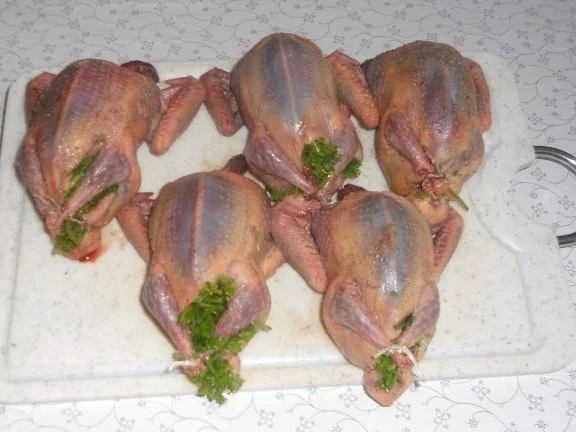 Rezept: "Oma - Friede`s" köstlich, zarter Taubenbraten in Sahnesauce. (Rzpt. um 1939) Bild Nr. 5 "Oma - Friede`s" köstlich, zarter Taubenbraten in Sahnesauce. (Rzpt. um 1939) - Rezept - Bild Nr. 5