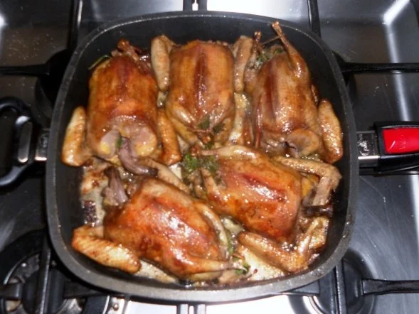 Rezept: "Oma - Friede`s" köstlich, zarter Taubenbraten in Sahnesauce. (Rzpt. um 1939) Bild Nr. 9 "Oma - Friede`s" köstlich, zarter Taubenbraten in Sahnesauce. (Rzpt. um 1939) - Rezept - Bild Nr. 9