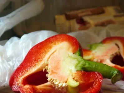 Rezept: Kräutercrepes mit Hähnchenfüllung Bild Nr. 7 Kräutercrepes mit Hähnchenfüllung - Rezept - Bild Nr. 7