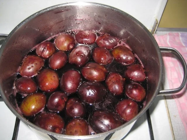 Rezept: Burgunder Zwetschgen Bild Nr. 8 Burgunder Zwetschgen - Rezept - Bild Nr. 8