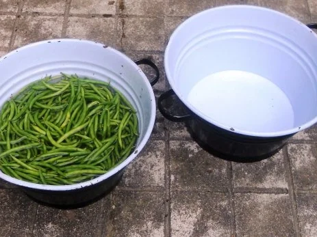 Zarte Prinzessbohnen à la "Oòrndrasch", mit Mandel - Semmelbutter. (Rzpt. um 1976) - Rezept - Bild Nr. 4