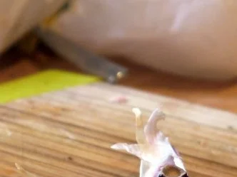 Sesam-Hähnchenspieße mit Senf-Honig-Dip und gebratenen Tomaten - Rezept - Bild Nr. 10