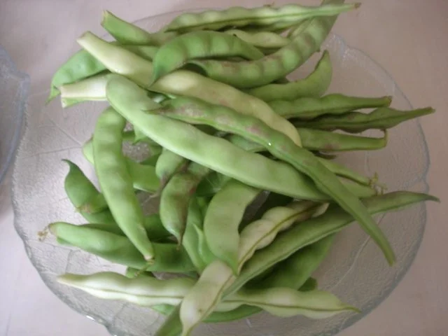 Tschechische Feuerbohnen-Kartoffelsuppe - Rezept - Bild Nr. 2