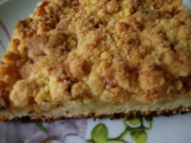 Rezept: Apfelkuchen mit Pudding und Streusel Bild Nr. 15 Apfelkuchen mit Pudding und Streusel - Rezept - Bild Nr. 15
