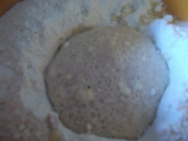 Rezept: Hefe-Nuss-Kranz Bild Nr. 5 Hefe-Nuss-Kranz - Rezept - Bild Nr. 5