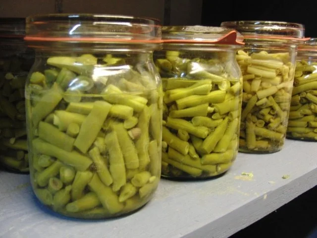 EINKOCHEN: GRÜNE BOHNEN - Rezept - Bild Nr. 3