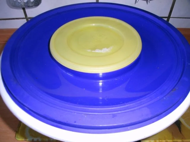 Rezept: Senfgurken (Schluppergurken)nach Oma´s Rezept Bild Nr. 8 Senfgurken (Schluppergurken)nach Oma´s Rezept - Rezept - Bild Nr. 8